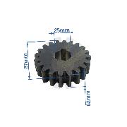 Pinion SIP Z20 T70-10/41