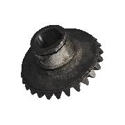 Pinion conic SIP Z28 o116.3/30x60.2 KK30-14/03 72-0159