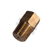 Reductie manometru erbicidator